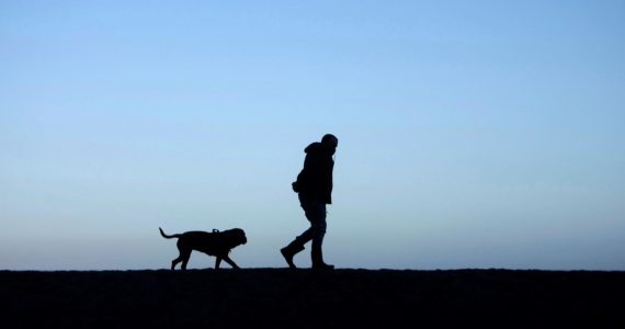 Les chiens, pires que les SUV pour la planète