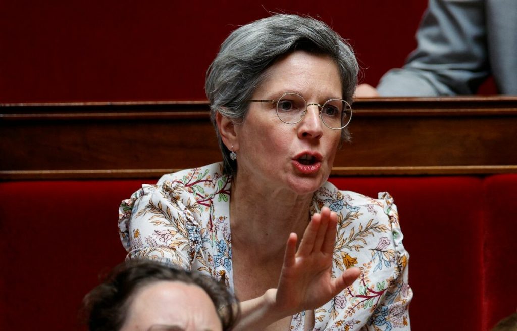 Assemblée Nationale Enquête Ouverte Sur Les Conditions De Lélection De Sandrine Rousseau