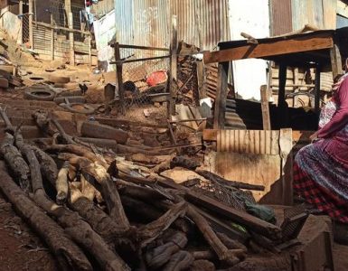 À Mayotte, l’échec cuisant de l’opération Wuambushu