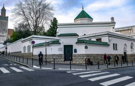 Halal : la petite cuisine de la Grande mosquée de Paris