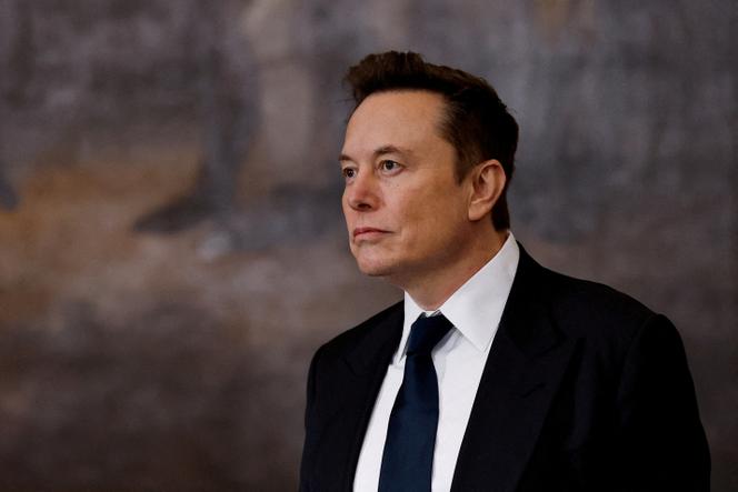 Quand Elon Musk accuse l’Afrique du Sud, son pays natal, de « persécuter les Blancs »